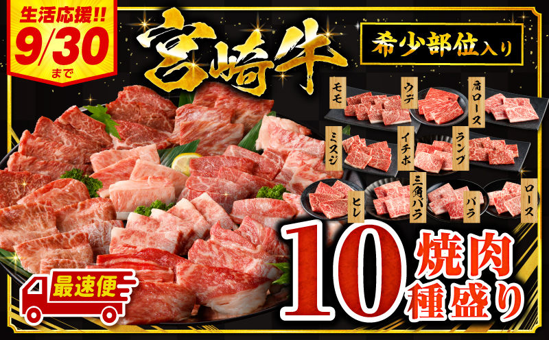 【最速便】宮崎牛焼肉10種盛り合わせ_M132-067-D-2W