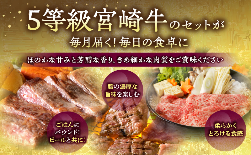 5等級！宮崎生まれ宮崎育ち！宮崎牛食べ尽くし定期便(総重量2.0kg)_M132-T004
