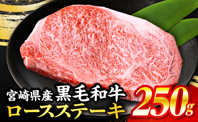 【数量限定】畜産農家応援！宮崎県産黒毛和牛ロースステーキ250g(真空パック)_M132-097-D