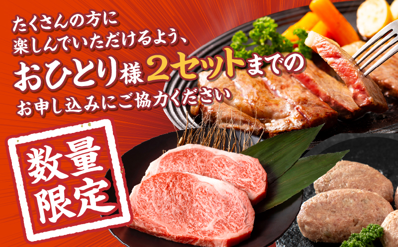 【期間・数量限定】畜産農家応援！宮崎県産黒毛和牛ロースステーキ250g×2・国産牛ハンバーグ100g×4個_M132-091-B1