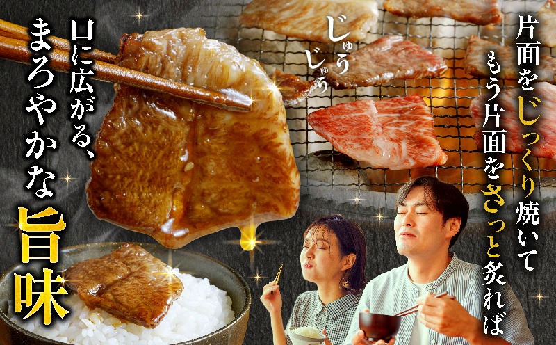 畜産農家応援！宮崎牛焼肉10種盛り合わせ_M132-067 | 返礼品をさがす