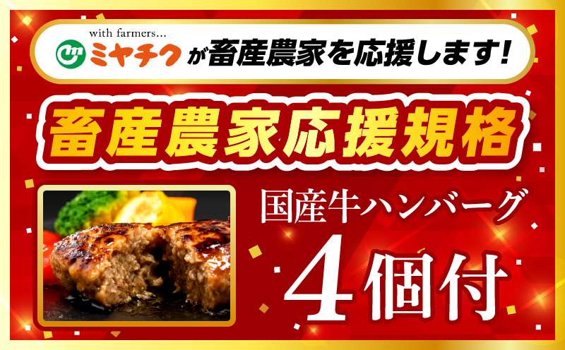 【期間・数量限定】畜産農家応援！宮崎県産黒毛和牛ロースステーキ250g×2・国産牛ハンバーグ100g×4個_M132-091-B1