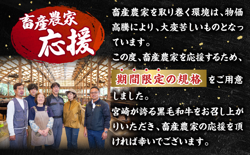 【期間・数量限定】畜産農家応援！宮崎牛 焼肉3種セット(肩ロース・ウデ・モモ 各300g)・国産牛ハンバーグ100g×4個_M132-093-B1