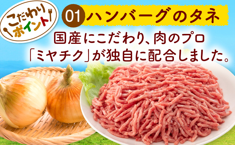 合挽デミグラスソースハンバーグ10個_M132-081_01
