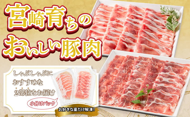 宮崎県産豚 肩ロース・ロース セット 各600g 計1.2kg_M132-040