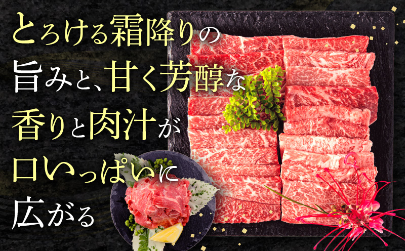 【期間限定】宮崎牛モモ焼肉500g 宮崎県産黒毛和牛こま切れ100g 合計600g_M132-024-UP