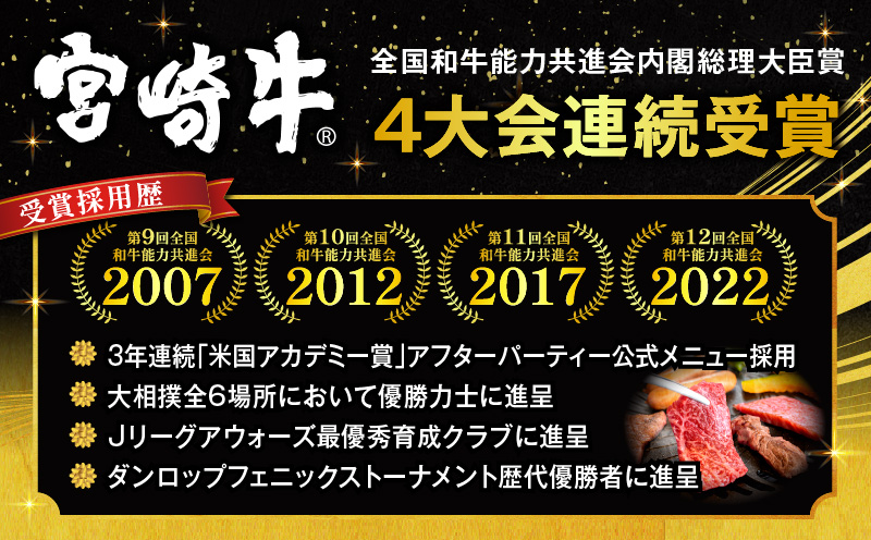 【期間限定】宮崎牛ウデ焼肉500g 宮崎県産黒毛和牛小間切れ100g 合計600g_M132-022-UP