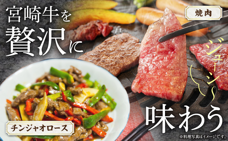 宮崎牛 モモ 焼肉 400g×1 宮崎県産 黒毛和牛 こま切れ 100g×1 合計500g_M132-024