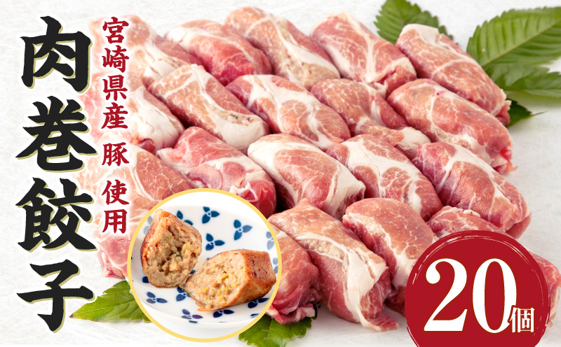 宮崎県産 豚 使用 肉巻 餃子 20個入り_M132-034