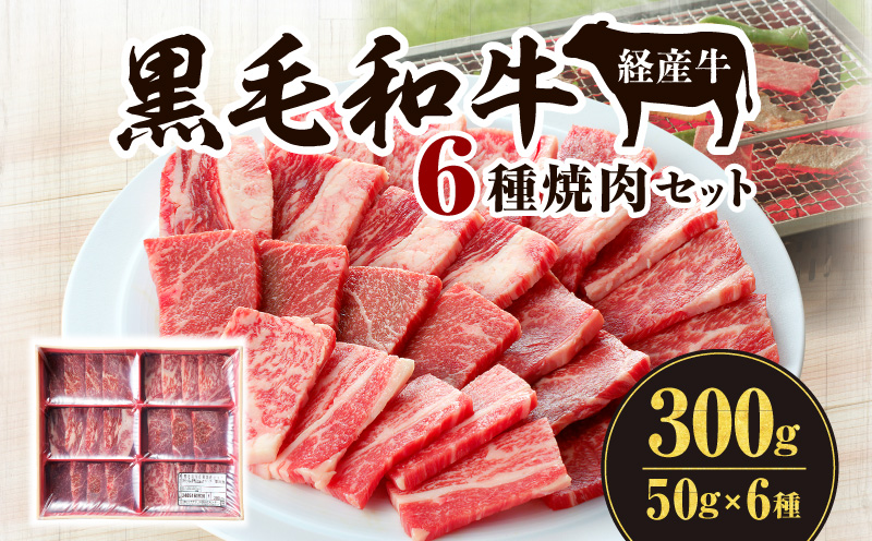黒毛和牛(経産牛)6種焼肉セット300g_M132-077