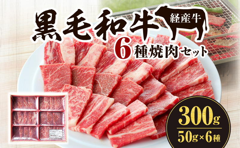 黒毛和牛（経産牛）6種焼肉セット300g_M132-077