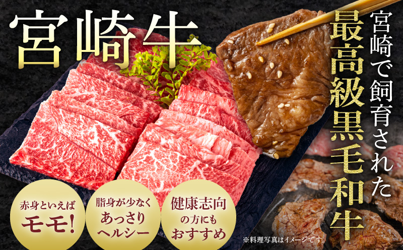 【期間限定】宮崎牛モモ焼肉500g 宮崎県産黒毛和牛こま切れ100g 合計600g_M132-024-UP