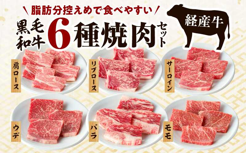 黒毛和牛（経産牛）6種焼肉セット300g_M132-077