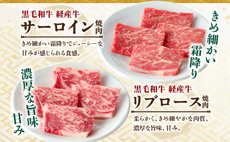 黒毛和牛（経産牛）6種焼肉セット300g × 2（計600g）_M132-078