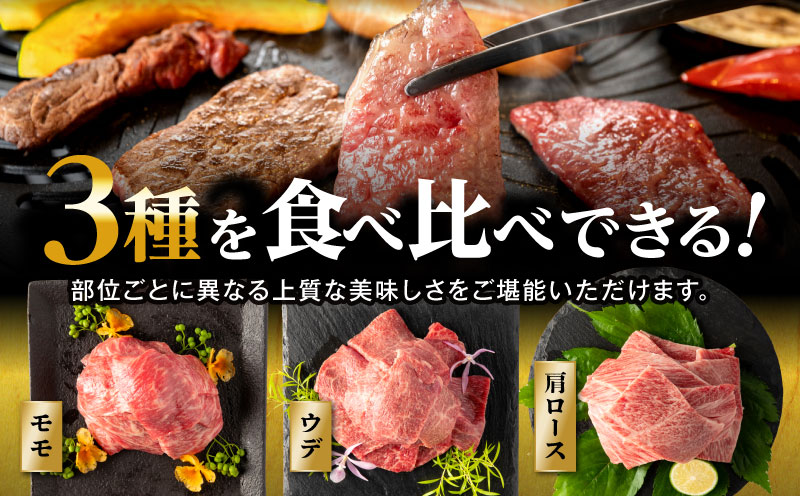 【期間・数量限定】畜産農家応援！宮崎県産 黒毛和牛 焼肉3種セット(肩ロース・ウデ・モモ 各300g)・国産牛ハンバーグ100g×4個_M132-030-B1