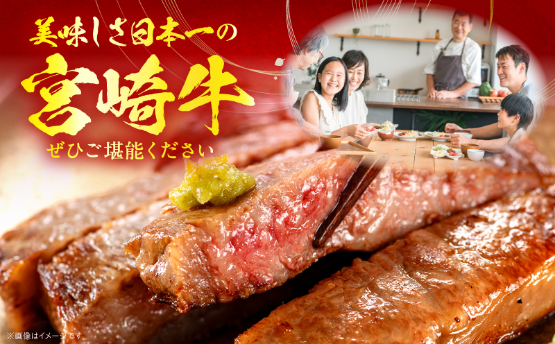 【全12回定期便】宮崎牛グランドセレクション_M132-T043-12-1