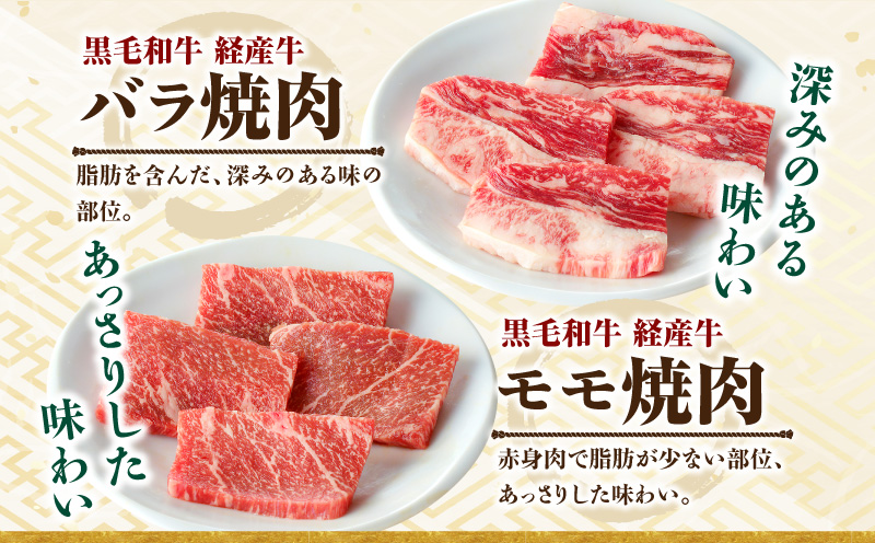 黒毛和牛（経産牛）6種焼肉セット300g × 2（計600g）_M132-078