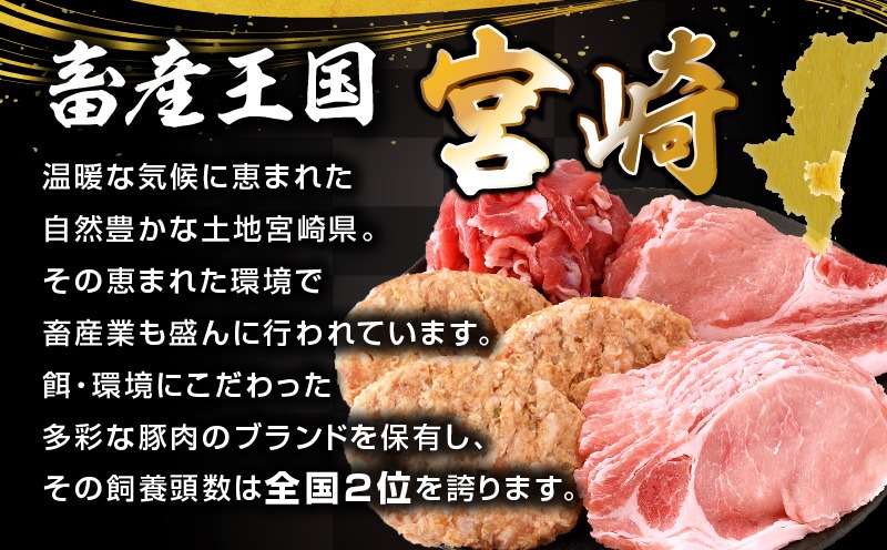 ぷち満足ロースバラエティセット2.1kg_M132-095
