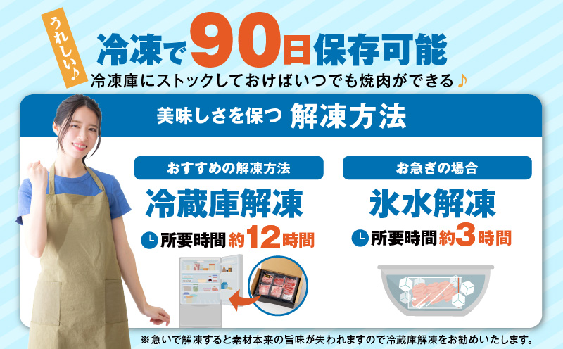 畜産農家応援！宮崎牛焼肉10種盛り合わせ_M132-067