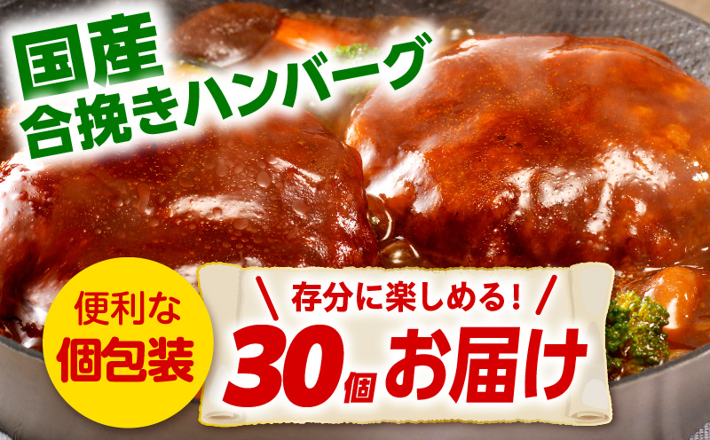 合挽デミグラスソースハンバーグ30個_M132-081_02