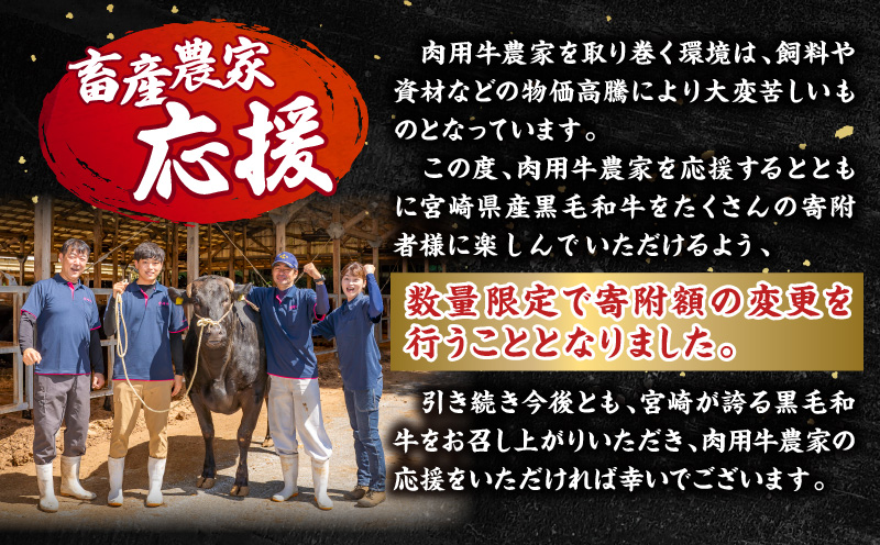 【数量限定】宮崎県産黒毛和牛ロースステーキ250g×2 合計500g_M132-091