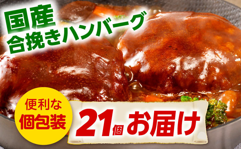 合挽デミグラスソースハンバーグ21個_M132-081