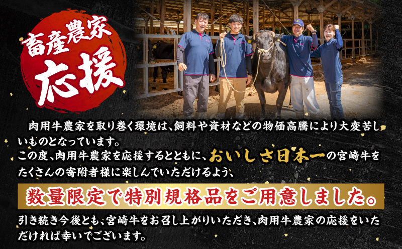 【期間・数量限定】宮崎牛ロースステーキ250g×2 合挽きハンバーグ100g×2個 合計700g_M132-014-B