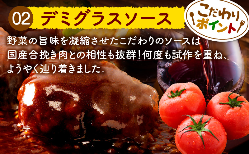 合挽デミグラスソースハンバーグ10個_M132-081_01