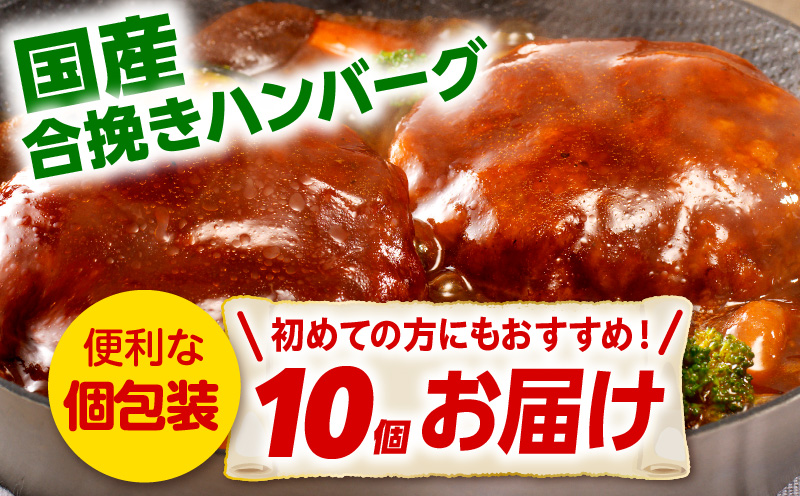 合挽デミグラスソースハンバーグ10個_M132-081_01