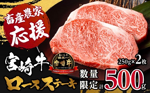 【数量限定】宮崎牛ロースステーキ250g×2 合計500g_M132-014-D