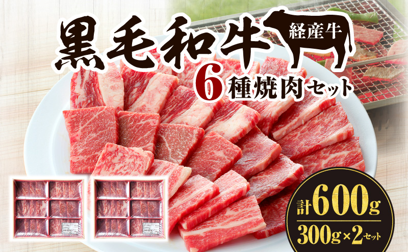 黒毛和牛(経産牛)6種焼肉セット300g × 2(計600g)_M132-078