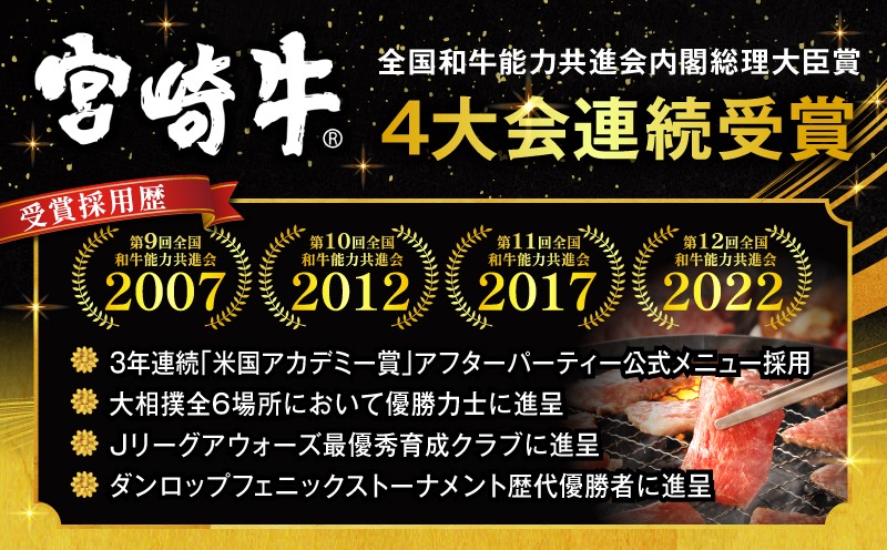 宮崎牛焼肉10種盛り合わせ_M132-067-PU