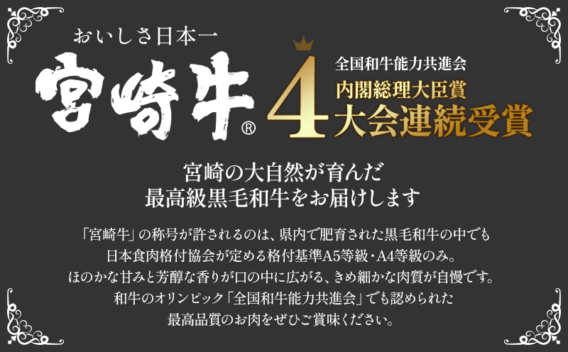 宮崎牛 A5ランク ウデ スライス 400g×2パック 合計800g_M132-042