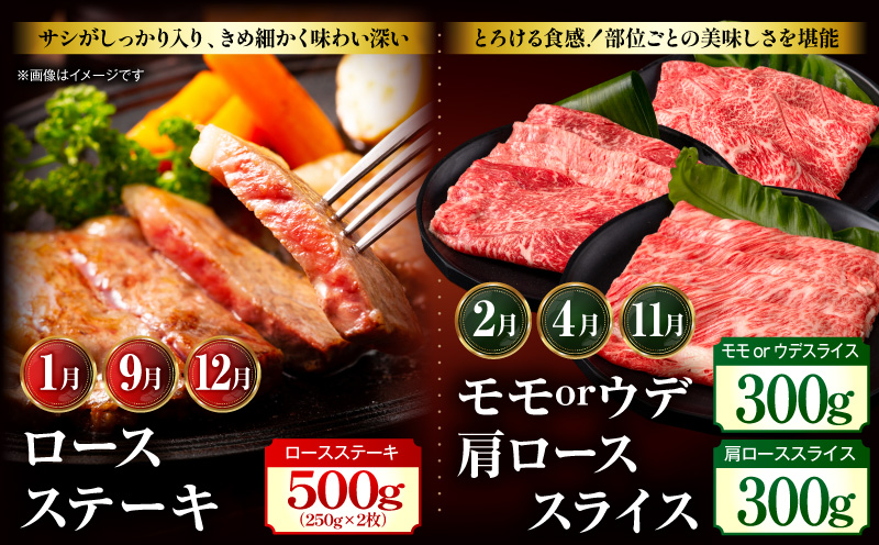 【全12回定期便】宮崎牛プレミアムセレクション_M132-T042-12-1