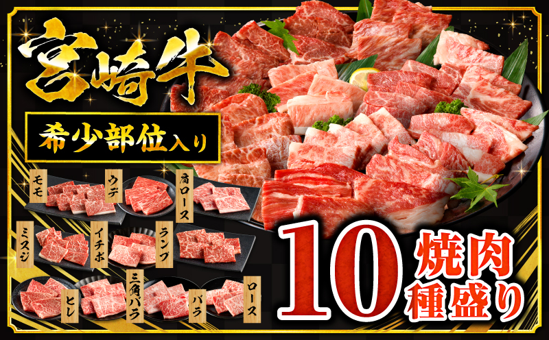  宮崎牛焼肉10種盛り合わせ_M132-067