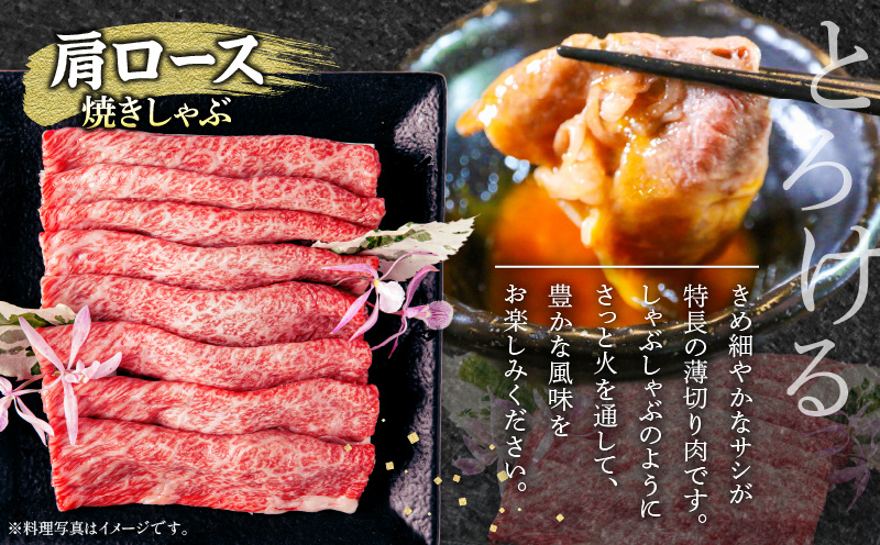 宮崎牛 肩ロース 焼きしゃぶ 300g ウデ 焼肉 400g 合計700g_M132-031