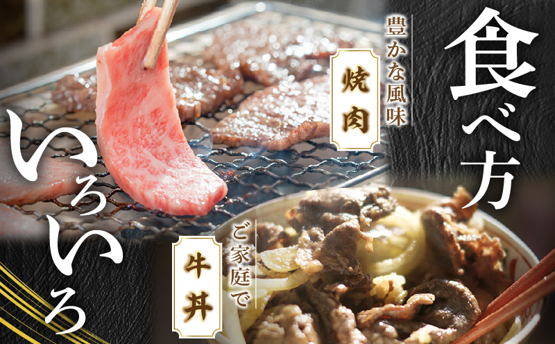 宮崎牛 ウデ 焼肉 400g×1 宮崎県産 黒毛和牛 こま切れ 100g×1 合計500g_M132-022