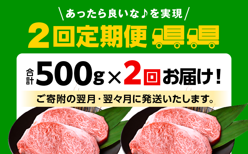 【2回定期便】宮崎牛ロースステーキ250g×2_M132-T014-ID-2-1