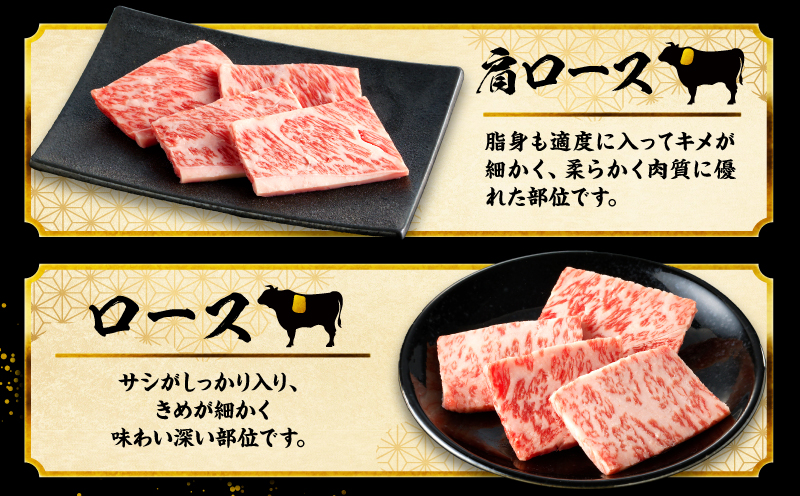 【最速便】宮崎牛焼肉10種盛り合わせ_M132-067-D-2W