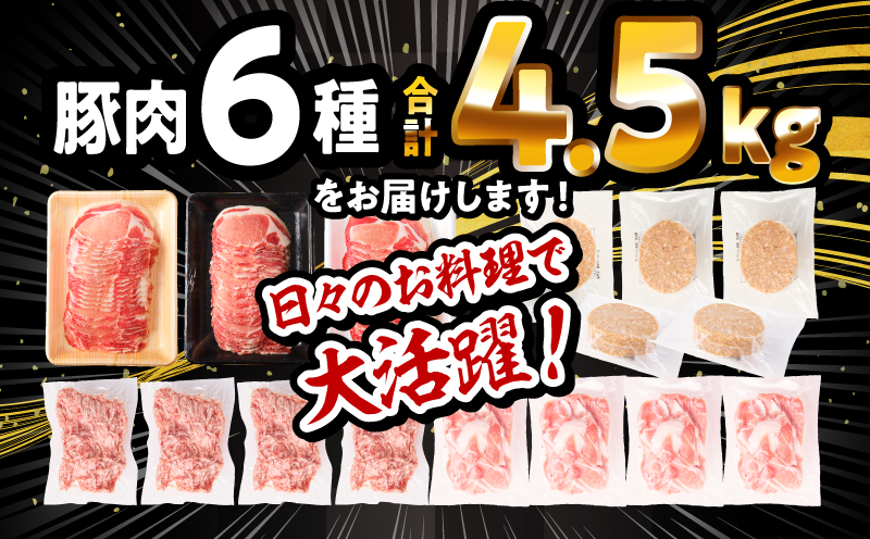 大満足豚肉ロースバラエティセット4.5kg_M132-094-PU