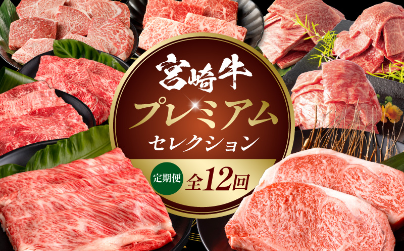 【全12回定期便】宮崎牛プレミアムセレクション_M132-T042-12-1