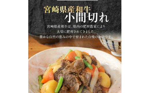 宮崎牛 ロース ステーキ 250g×2 宮崎県産和牛小間切れ 100g×2 計700g