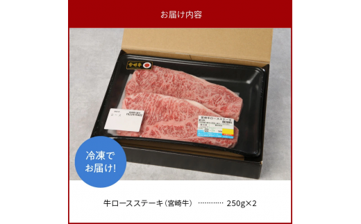 宮崎牛ロースステーキ 250g×2 計500g N0147-YB725