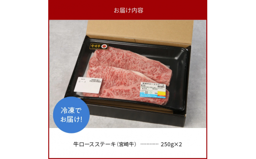 宮崎牛 ロース ステーキ 250g×2 計500g