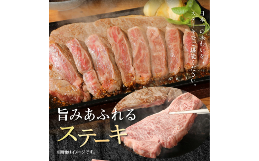 宮崎牛 ロース ステーキ 250g×2 計500g