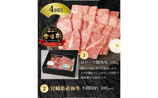 宮崎牛 宮崎県産和牛 豚肉 計7.9㎏ 6ヶ月定期便