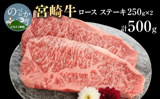 宮崎牛ロースステーキ 250g×2 計500g N0147-YB725