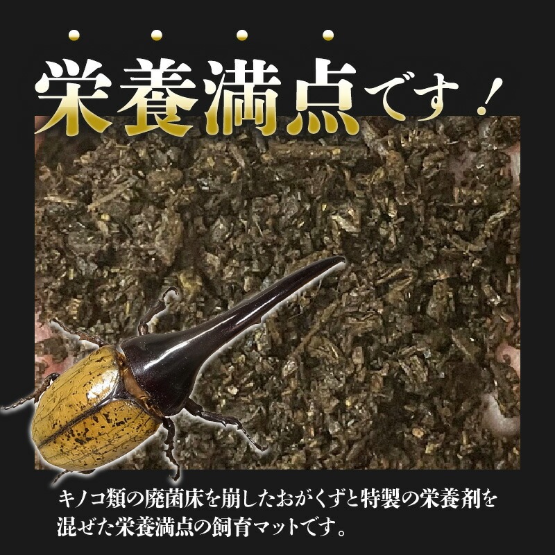 【HirokA】ヘラクレスオオカブト 飼育 マット オリジナルマット B　N022-YZA734