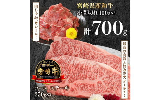 宮崎牛 ロース ステーキ 250g×2 宮崎県産和牛小間切れ 100g×2 計700g