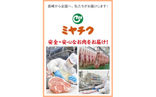 宮崎県産豚 ロースとんかつ 100g×5 ロースしゃぶ 500g ヒレとんかつ 400g　計1.4kg